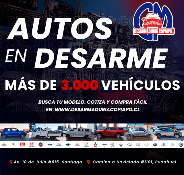 auto desarme